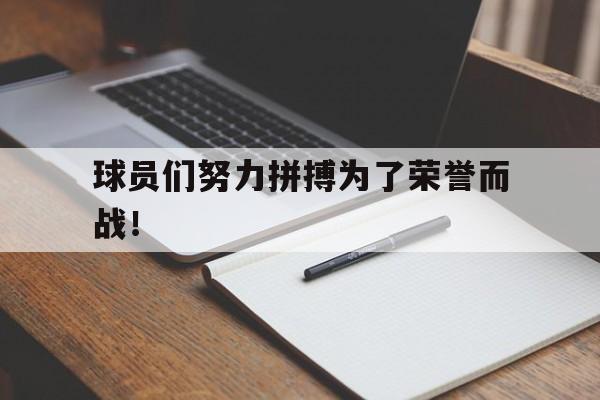 球员们努力拼搏为了荣誉而战！